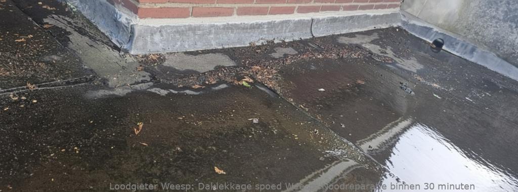 Daklekkage spoed Weesp: Noodreparatie binnen 30 minuten