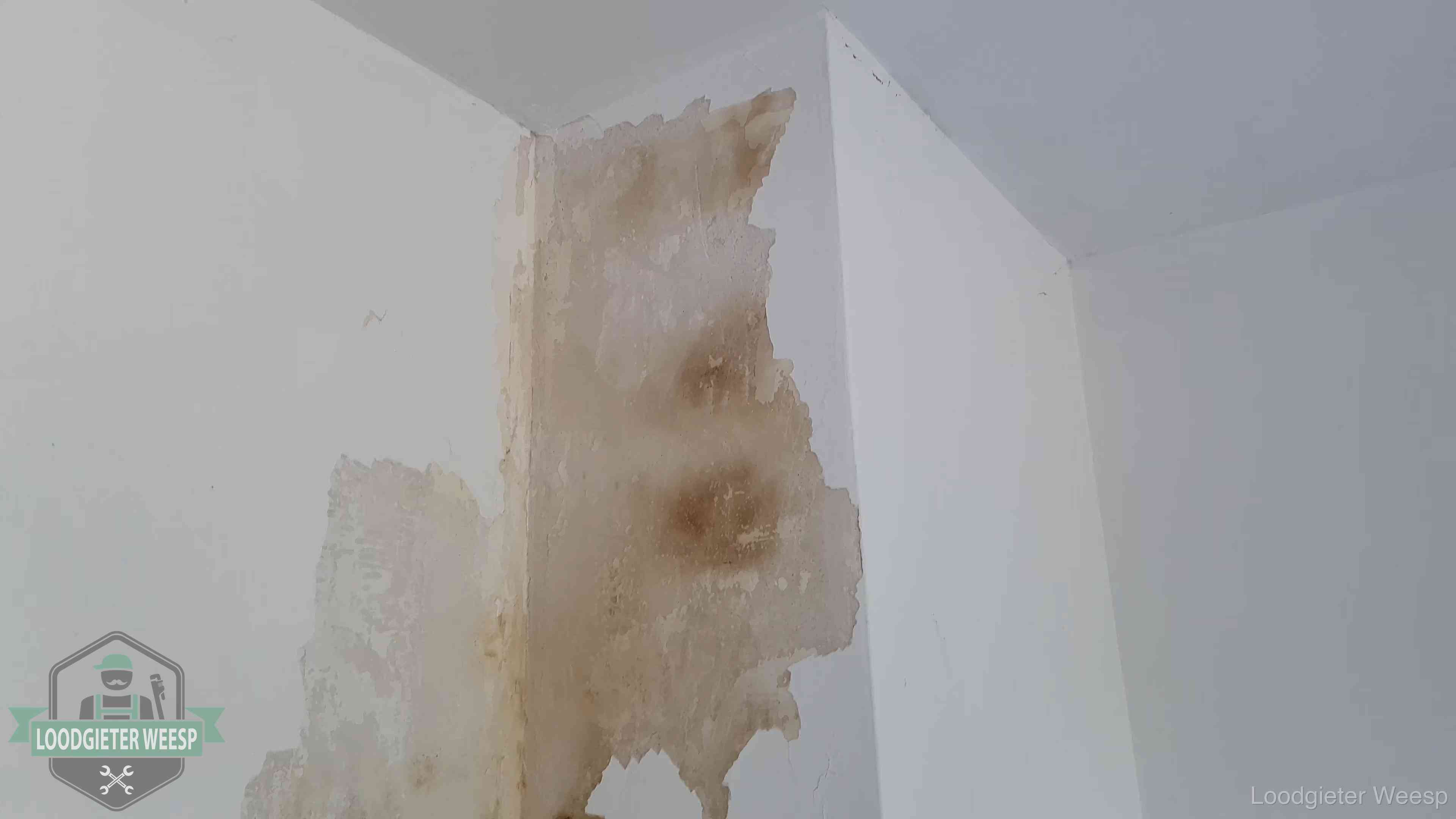 Bruine vochtkringen en afbladderend stucwerk op een binnenmuur in Weesp, een eerste teken van daklekkage