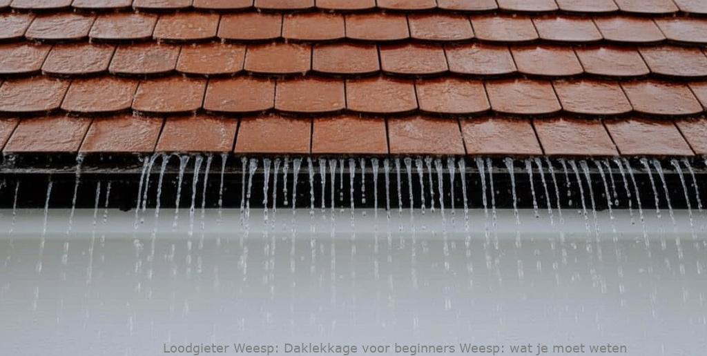Daklekkage voor beginners Weesp: wat je moet weten