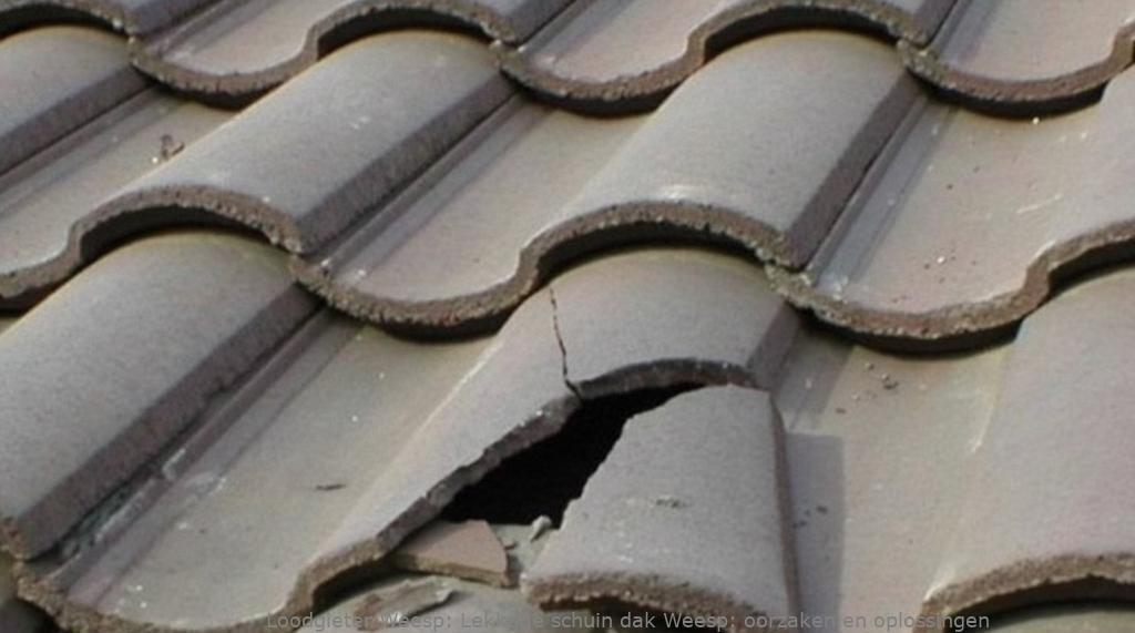 Lekkage schuin dak Weesp: oorzaken en oplossingen