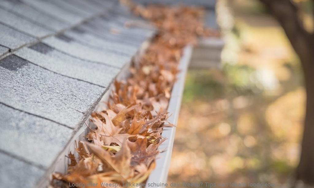Lekkage schuine dak Weesp? Tips van lokale loodgieter