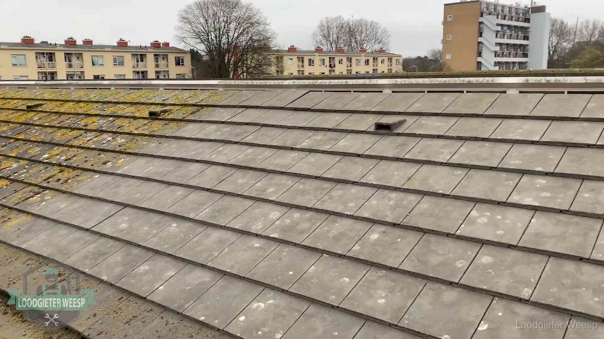Schuin dak met betonpannen vol mos in Weesp, een risico op lekkage bij de pannen