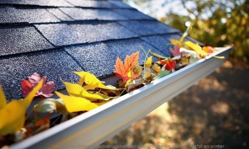 Seizoensgebonden rioolproblemen Weesp: herfst en winter
