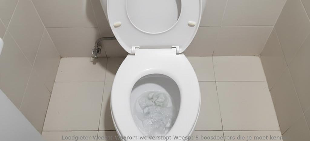 Waarom wc verstopt Weesp: 5 boosdoeners die je moet kennen